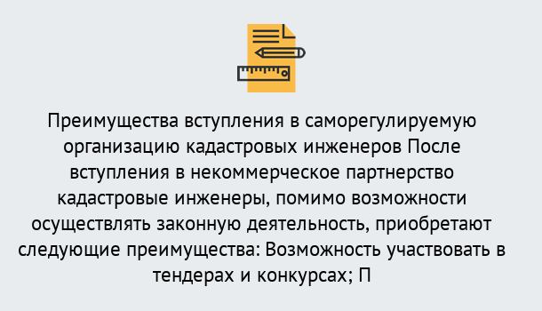 Почему нужно обратиться к нам? Мыски Что дает допуск СРО кадастровых инженеров?