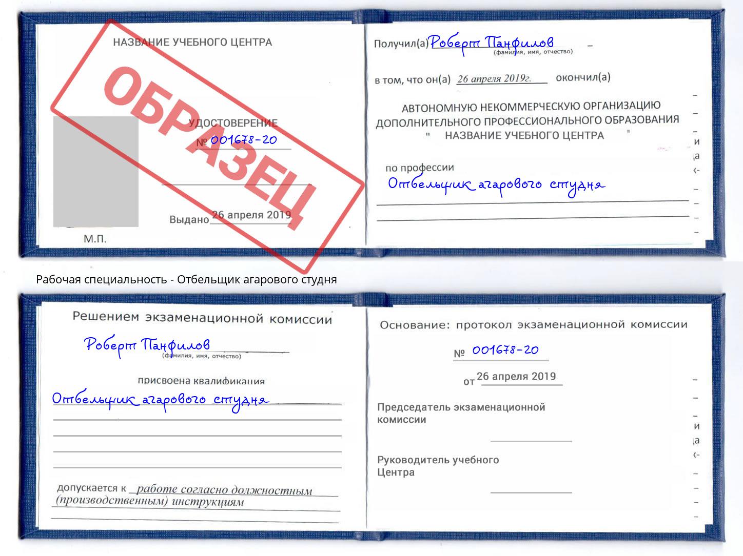 Отбельщик агарового студня Мыски