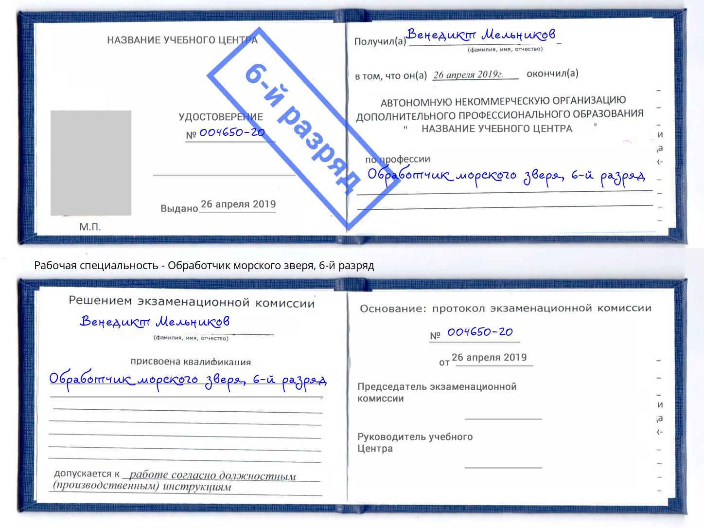 корочка 6-й разряд Обработчик морского зверя Мыски