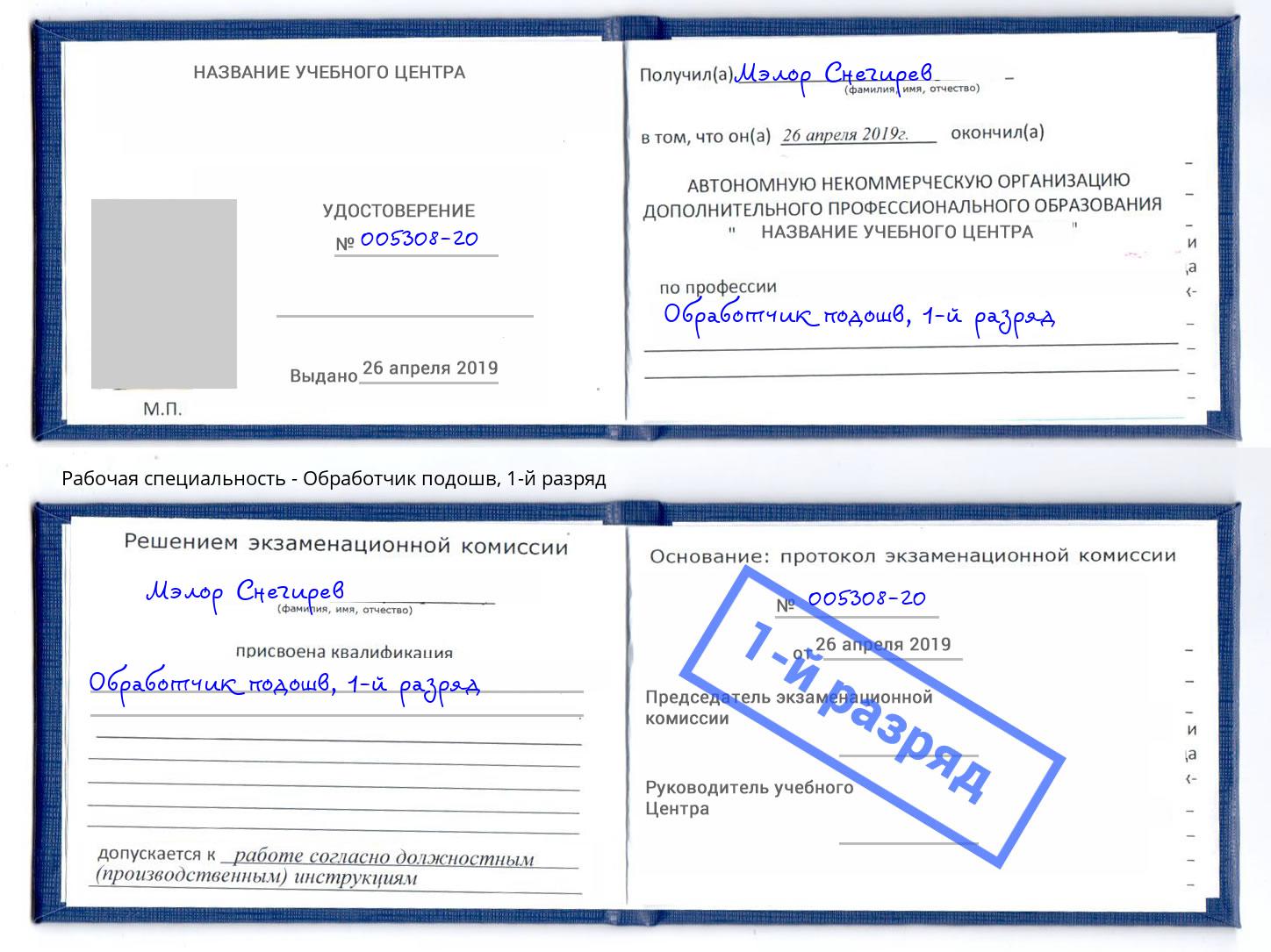корочка 1-й разряд Обработчик подошв Мыски