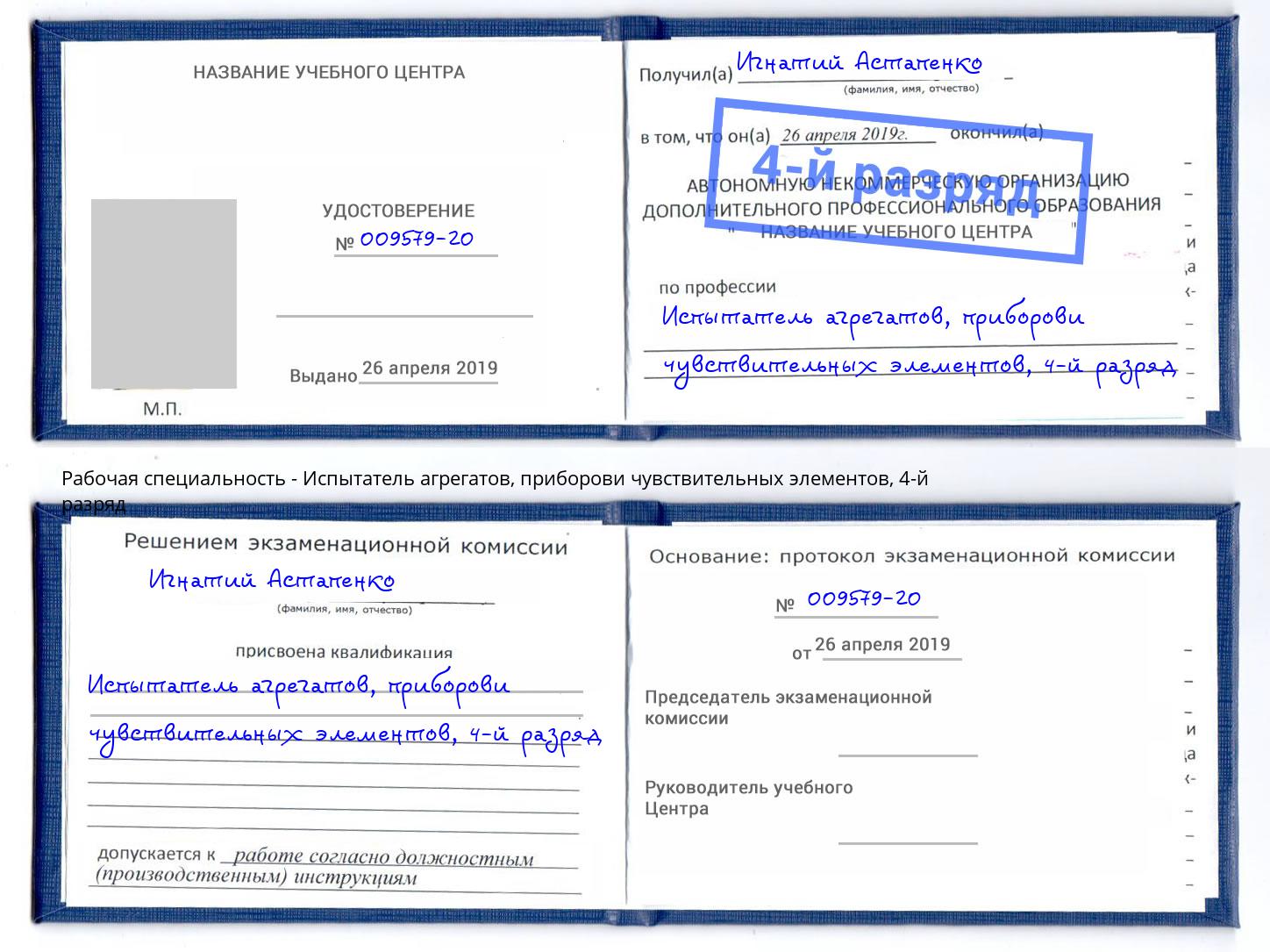 корочка 4-й разряд Испытатель агрегатов, приборови чувствительных элементов Мыски