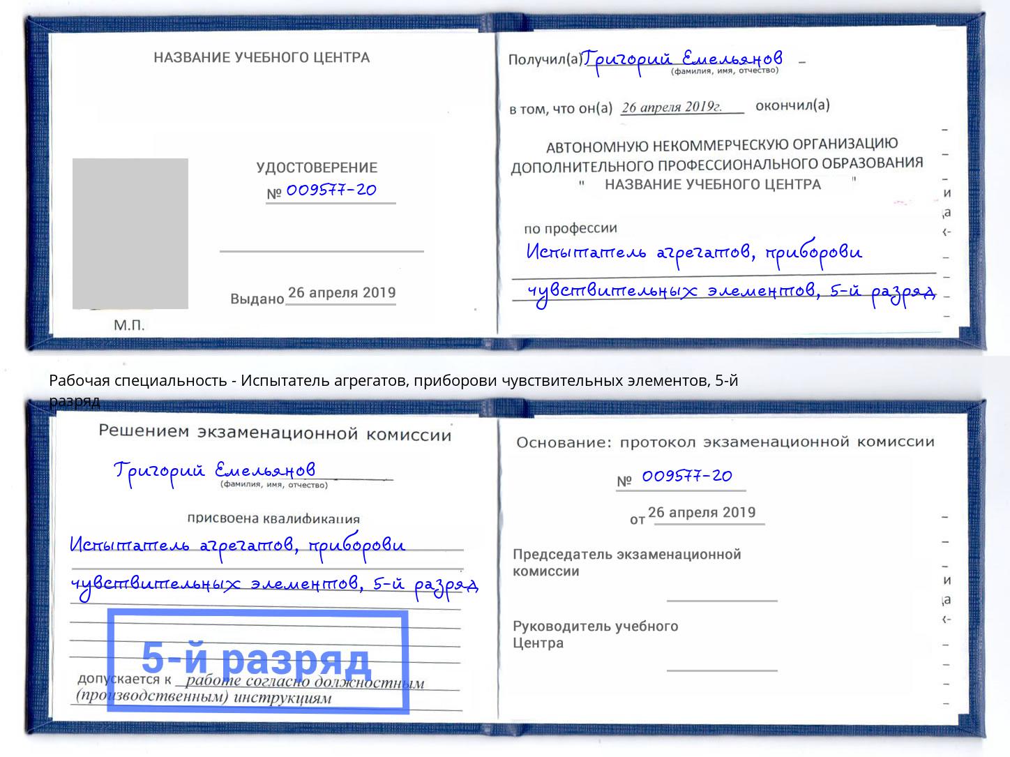 корочка 5-й разряд Испытатель агрегатов, приборови чувствительных элементов Мыски