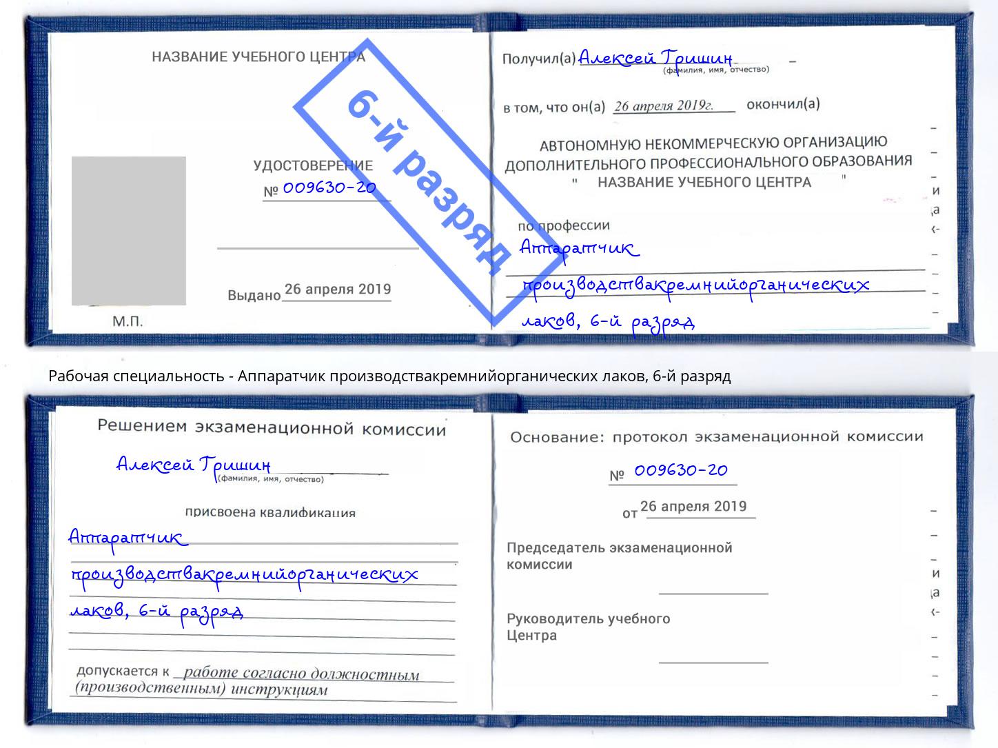 корочка 6-й разряд Аппаратчик производствакремнийорганических лаков Мыски