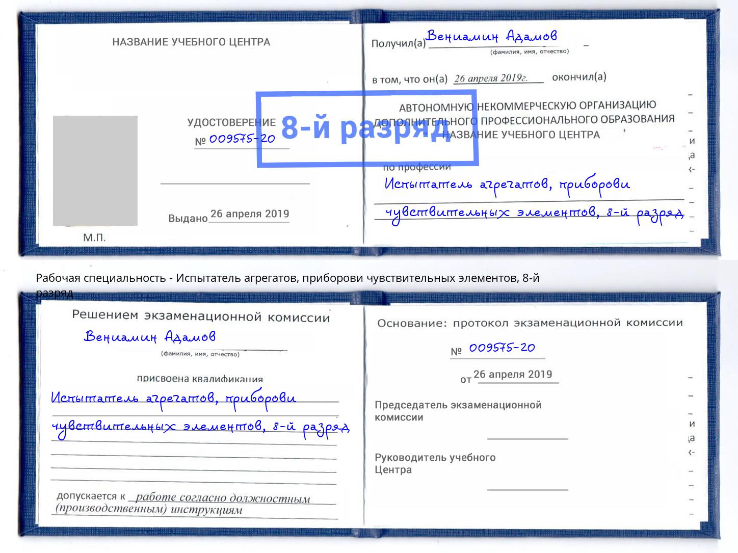 корочка 8-й разряд Испытатель агрегатов, приборови чувствительных элементов Мыски